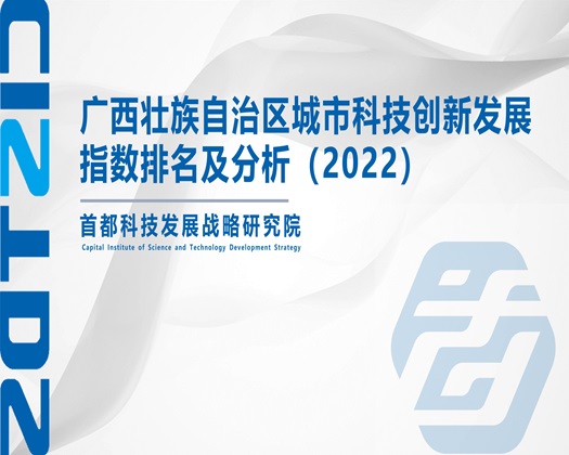 大鸡巴操逼免费视频【成果发布】广西壮族自治区城市科技创新发展指数排名及分析（2022）